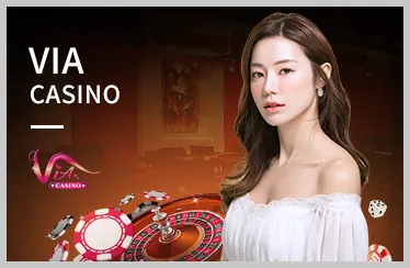 Cá cược Đá Gà tại vnd.bet